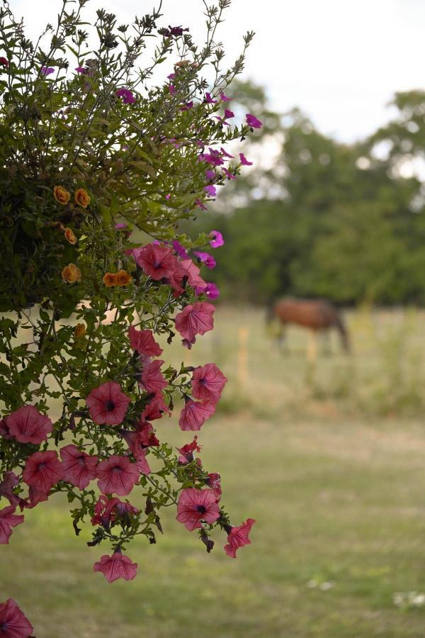 Sweet Pea Cabin Badsey Esterno foto