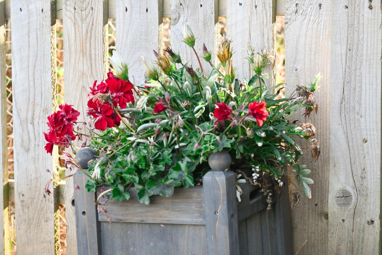 Sweet Pea Cabin Badsey Esterno foto