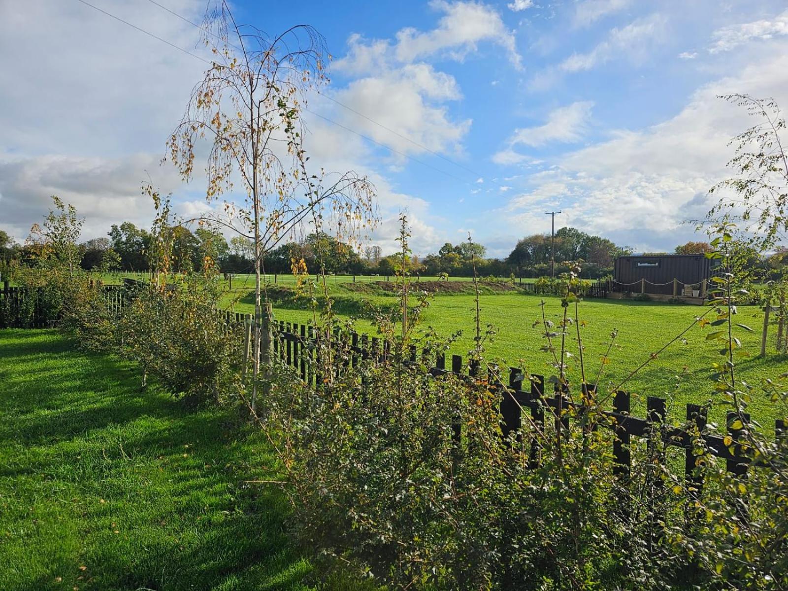 Sweet Pea Cabin Badsey Esterno foto