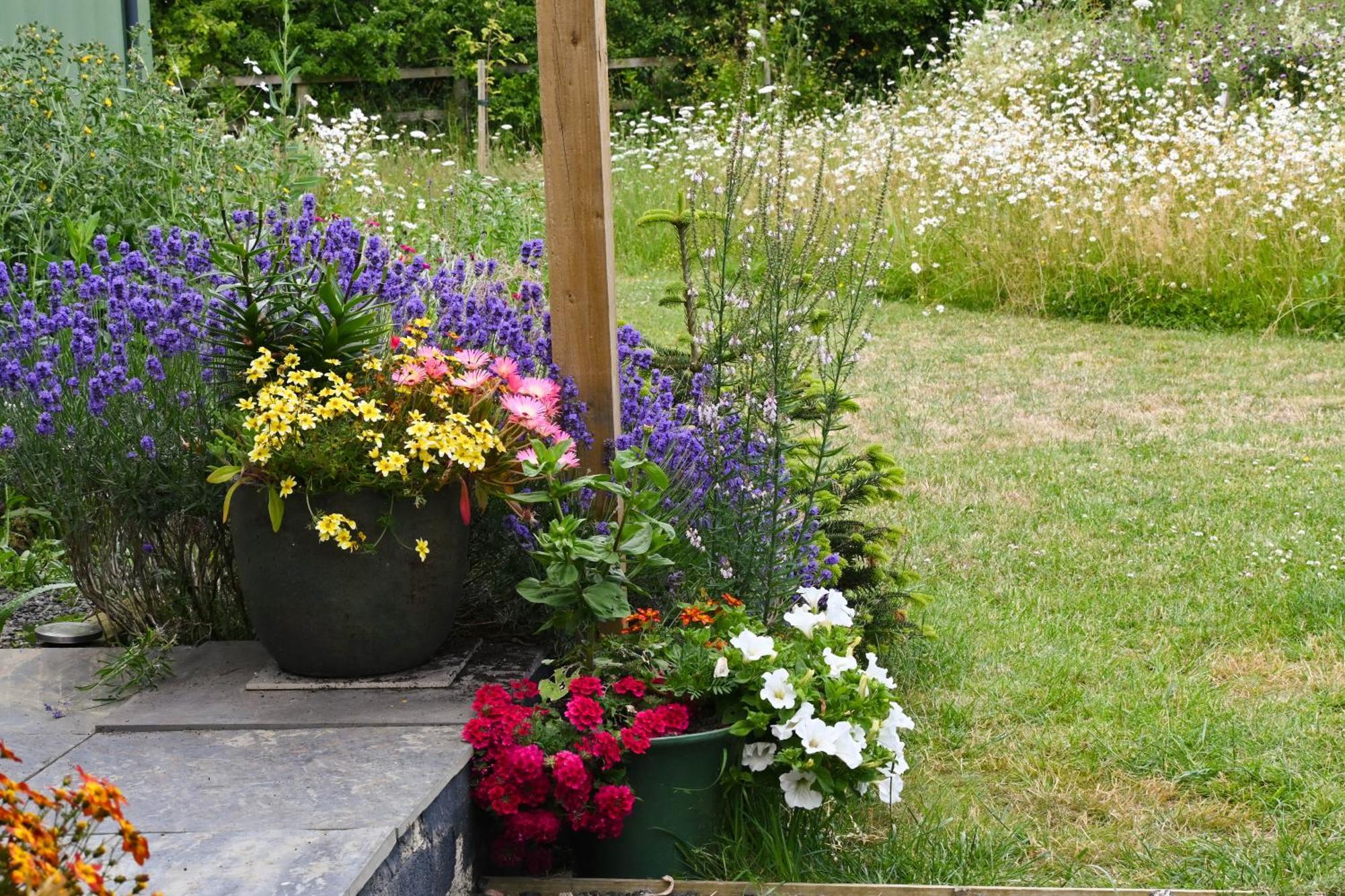 Sweet Pea Cabin Badsey Esterno foto