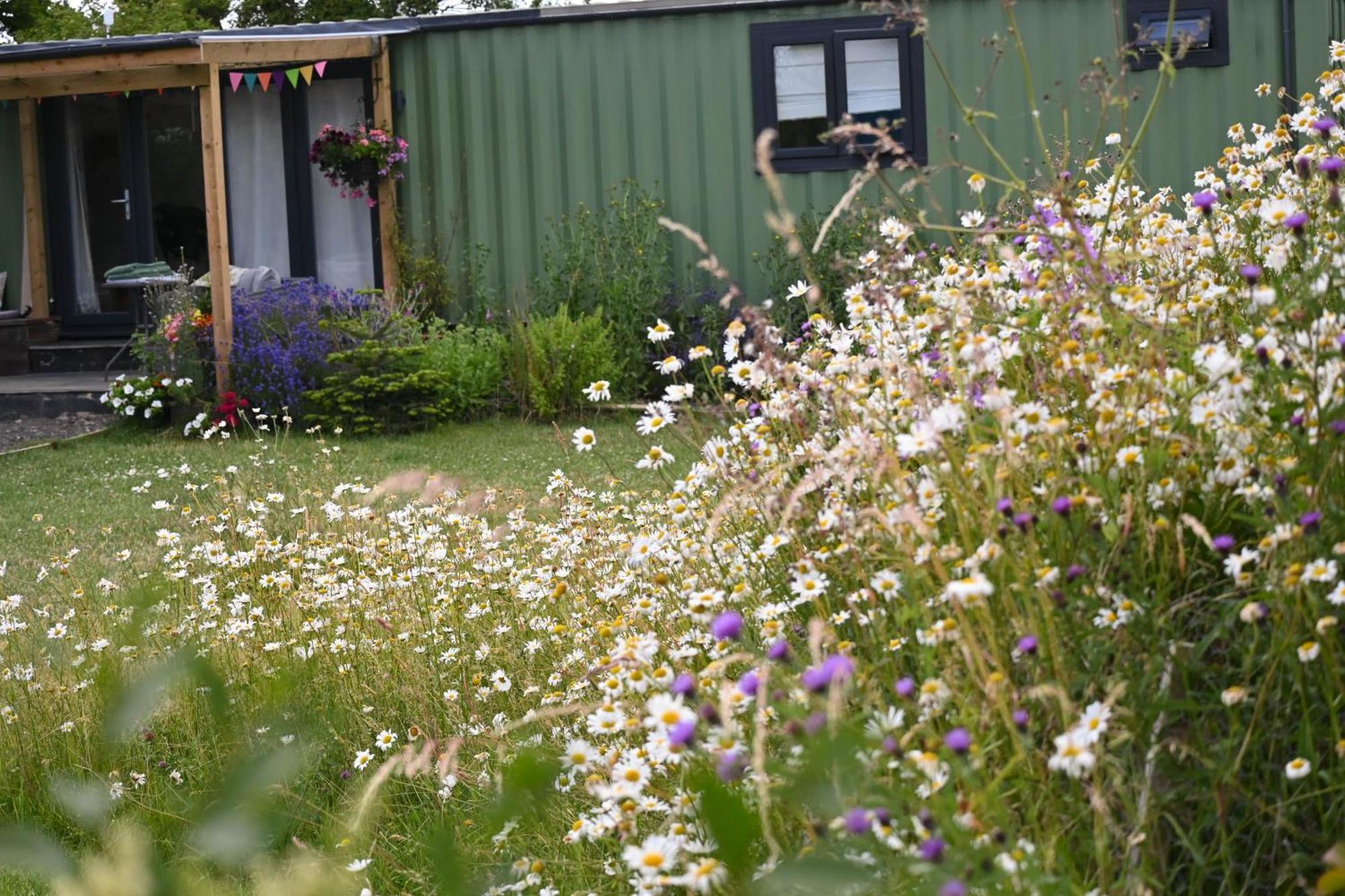 Sweet Pea Cabin Badsey Esterno foto