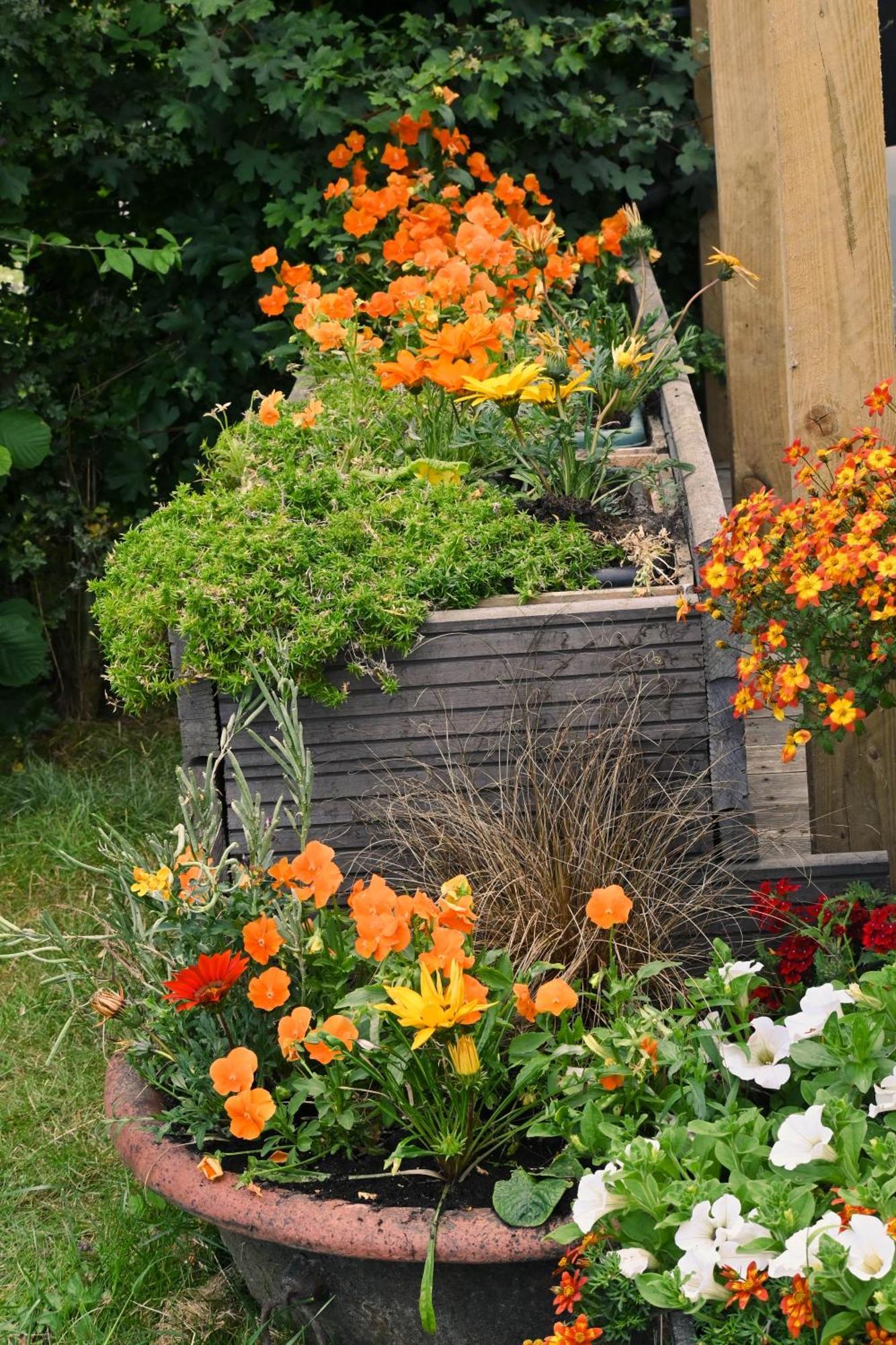 Sweet Pea Cabin Badsey Esterno foto
